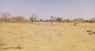 GRANDE OPPORTUNITÉ D’INVESTISSEMENT : TERRAIN DE 10 000 m² EN VENTE À DONSIN