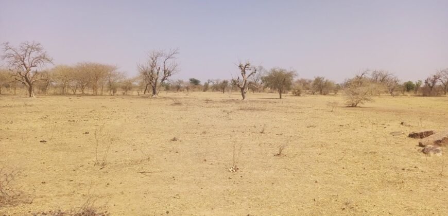 GRANDE OPPORTUNITÉ D’INVESTISSEMENT : TERRAIN DE 10 000 m² EN VENTE À DONSIN